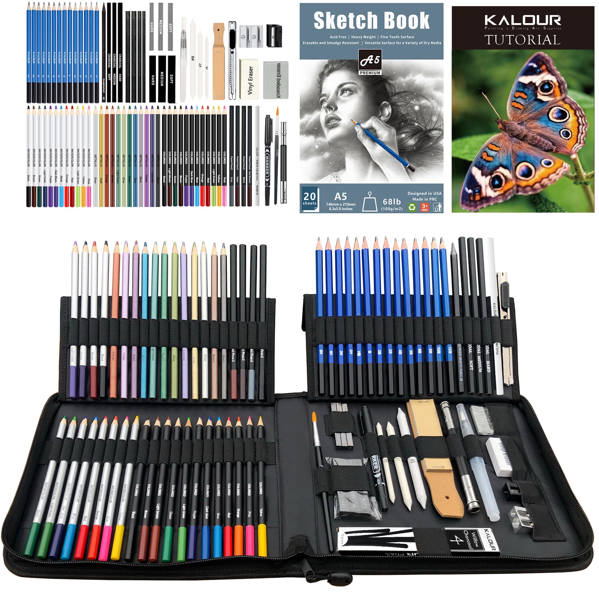 KALOUR Kit da Disegno e Schizzo 84 Pezzi, Forniture Professionali per Artisti con Blocco da Disegno, Comprende Tutorial, Matite Colorate, Grafite, Carbone, Acquerello, Metalliche e Pastello