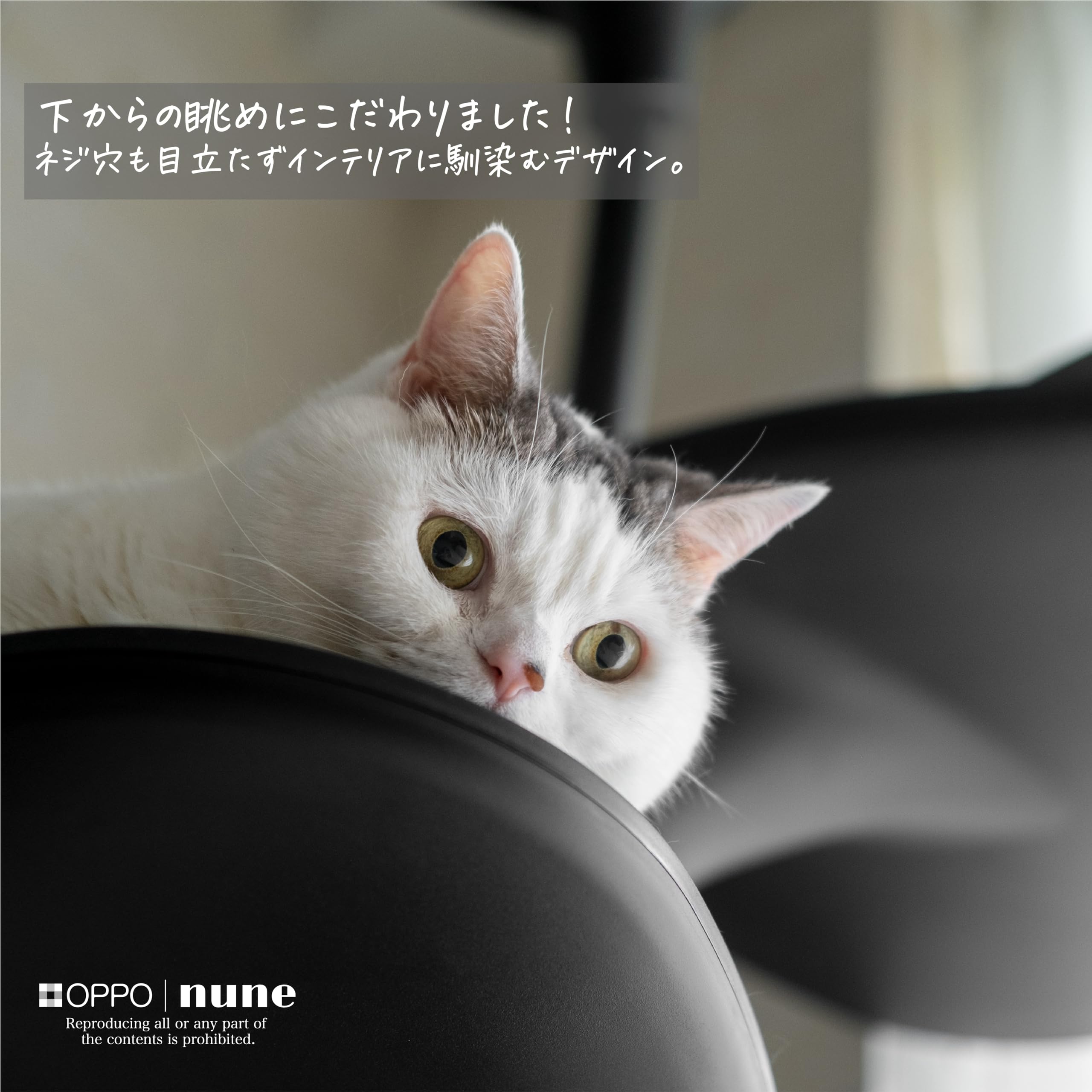 Amazon | Cat Forest-2 キャットフォレスト ツー (ブラック) | オッポ 