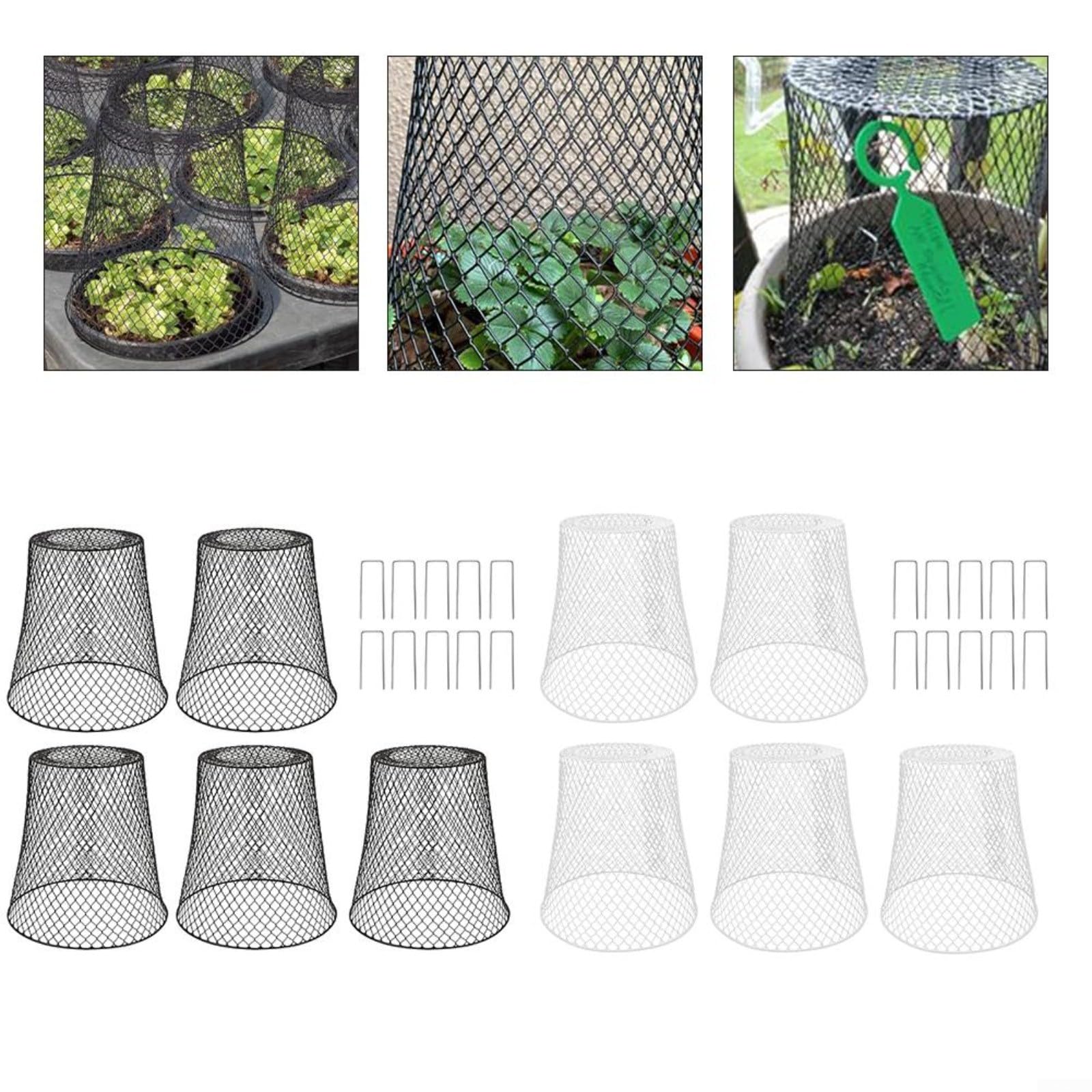 Lot de 5 cloches d'extérieur en maille pour lapin, écureuil, cerf, abris de jardin avec piquets pour plantes en pot de myrtilles (noir)