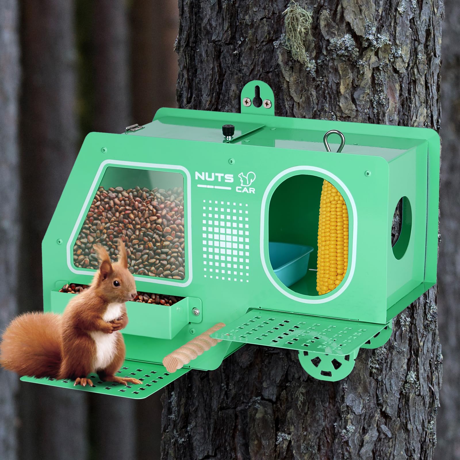 3 motivi per cui gli scoiattoli perdono la peluria nella coda