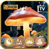 きのこリラックス - 眠りのための自然音とフルートのメロディー