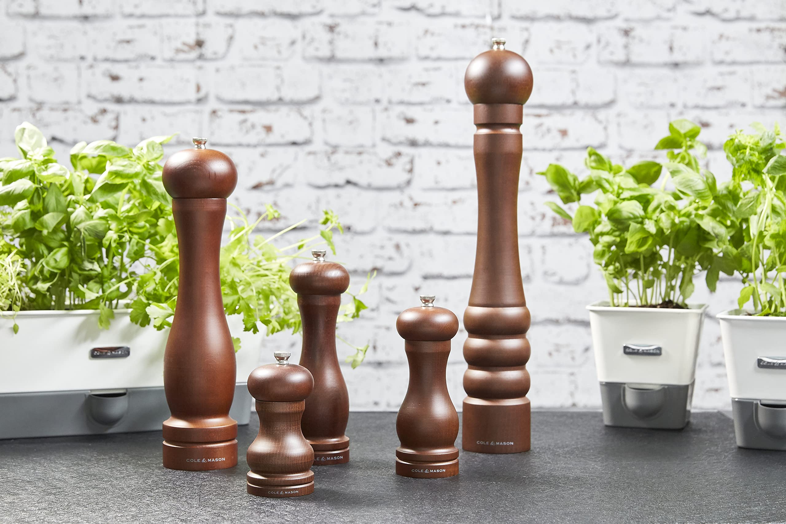 Cole & Mason Forest Capstan Moulin a Poivre, Broyeur de Poivre, Bois Foncé, Mouture Réglable, Bois de Hêtre Teinté, 315mm, Comprend 1 x Moulin, HB1244P