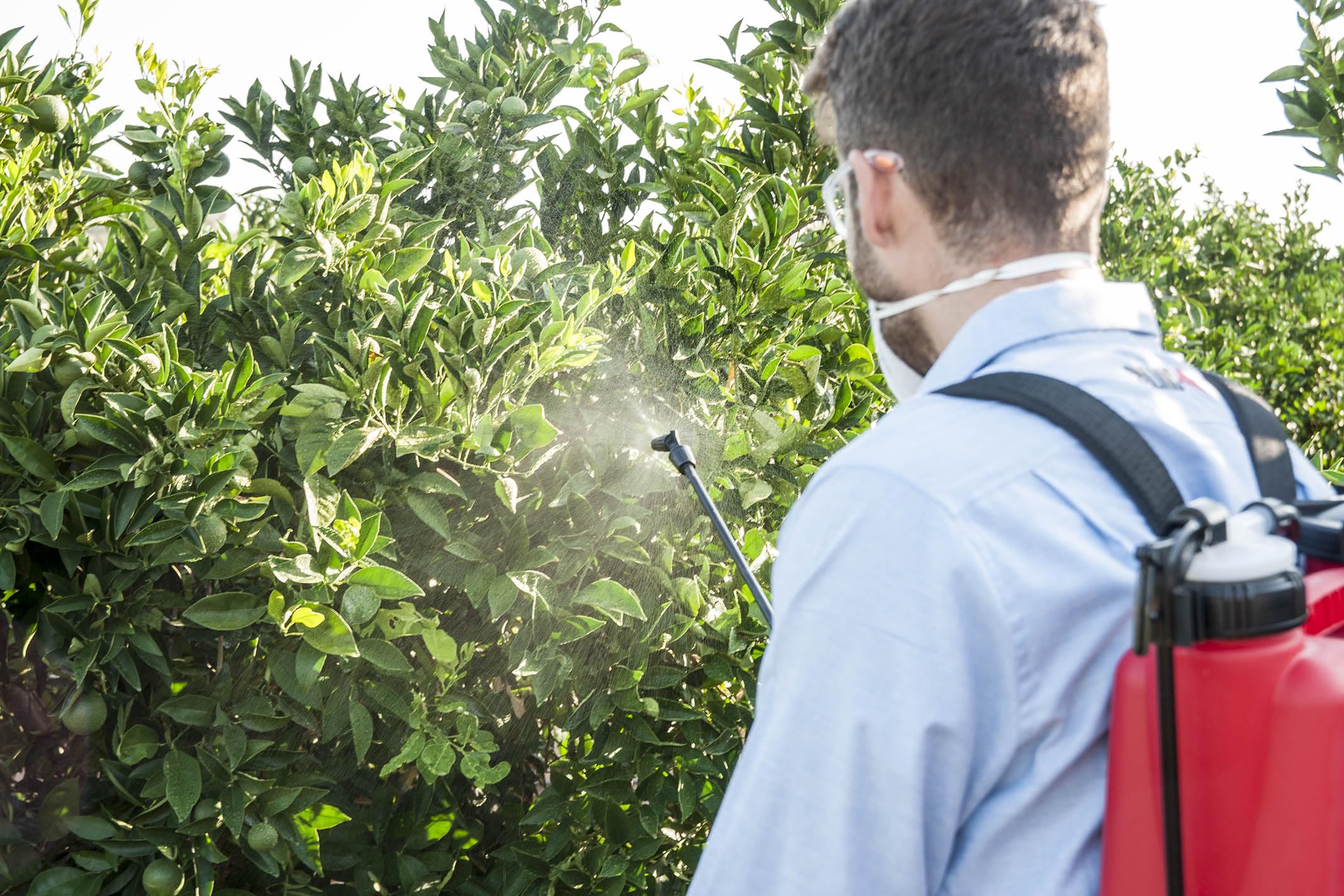 Pulmic Raptor 12 Sulfatadora Manual Hidráulica Mochila 12L con Presión Retenida, Lanza de Vidrio y Boquilla Regulable para Aplicación de Agroquímicos y Productos Industriales