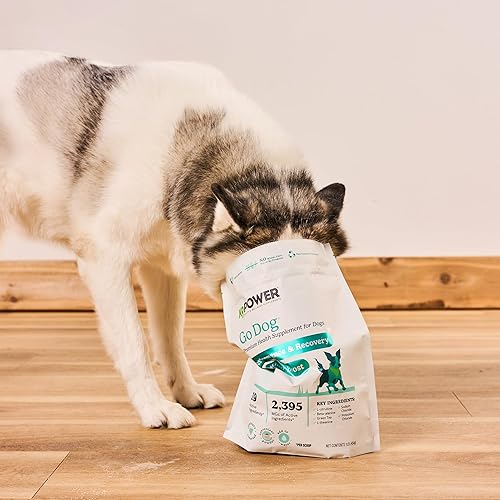 Vista 79 de K9Power Young at Heart - Suplemento para perros mayores para longevidad y vitalidad - Apoya las articulaciones, el cerebro, el corazón