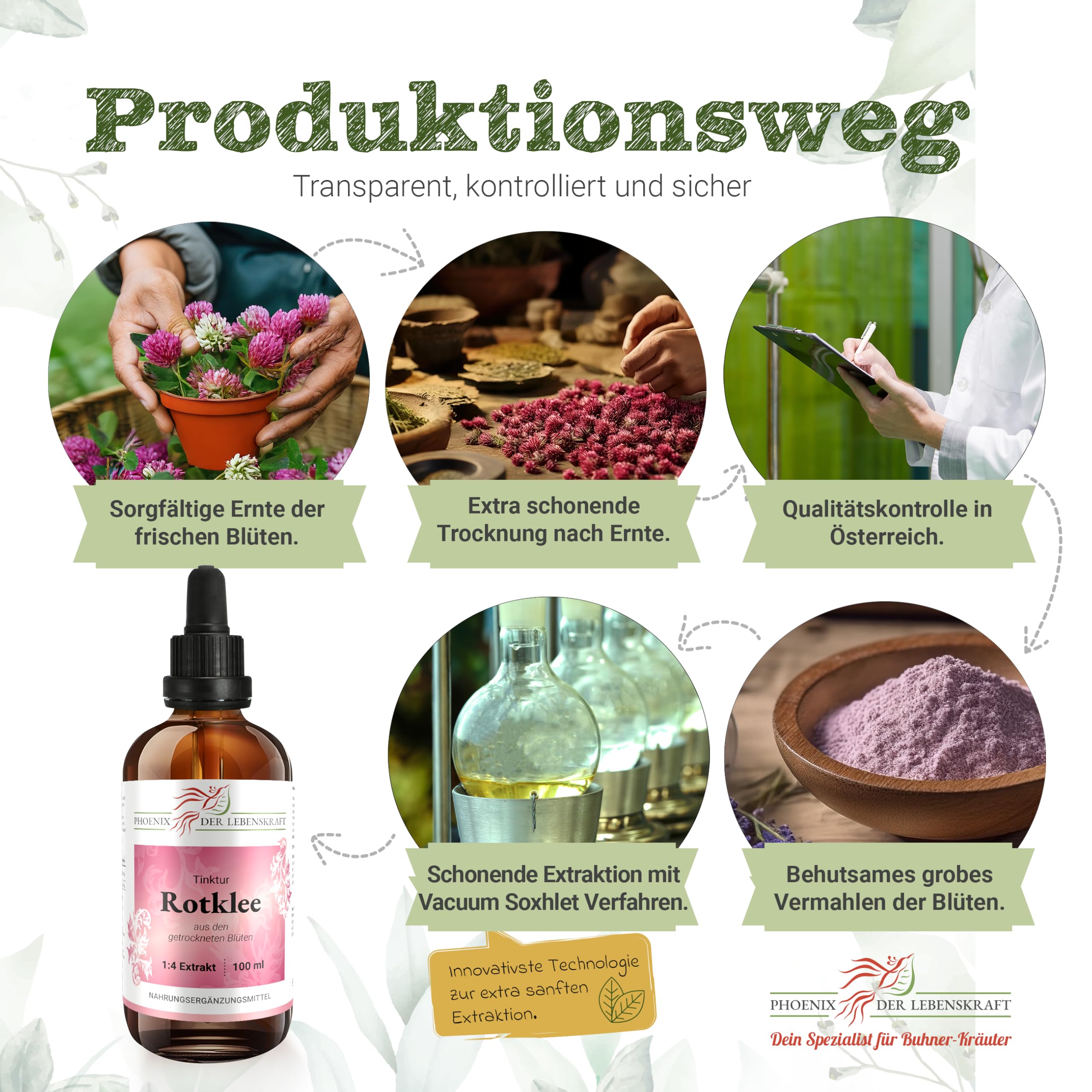 Rotklee Tinktur 100ml | Trifolium pratensis Tropfen (1:4 Extrakt) | Premium Qualität aus Österreich | Veganes Nahrungsergänzungsmittel | Wiesenklee, Kleebusch, Wundklee, Hornklee, Ziegenklee