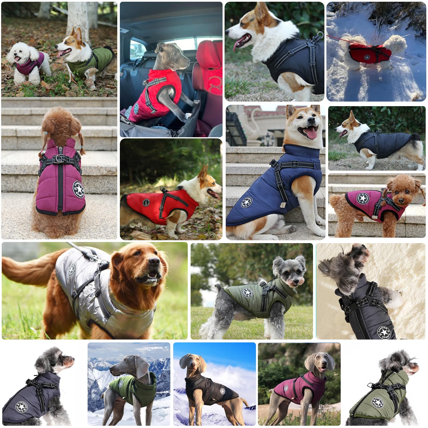 Hundejacke Winterweste Mit Geschirr, Wasserdichter Hundemantel für Kleine Hunde, Maschinen Waschbar, Reflektierender Streifen, Haltbarer D-Ring (Green-M)