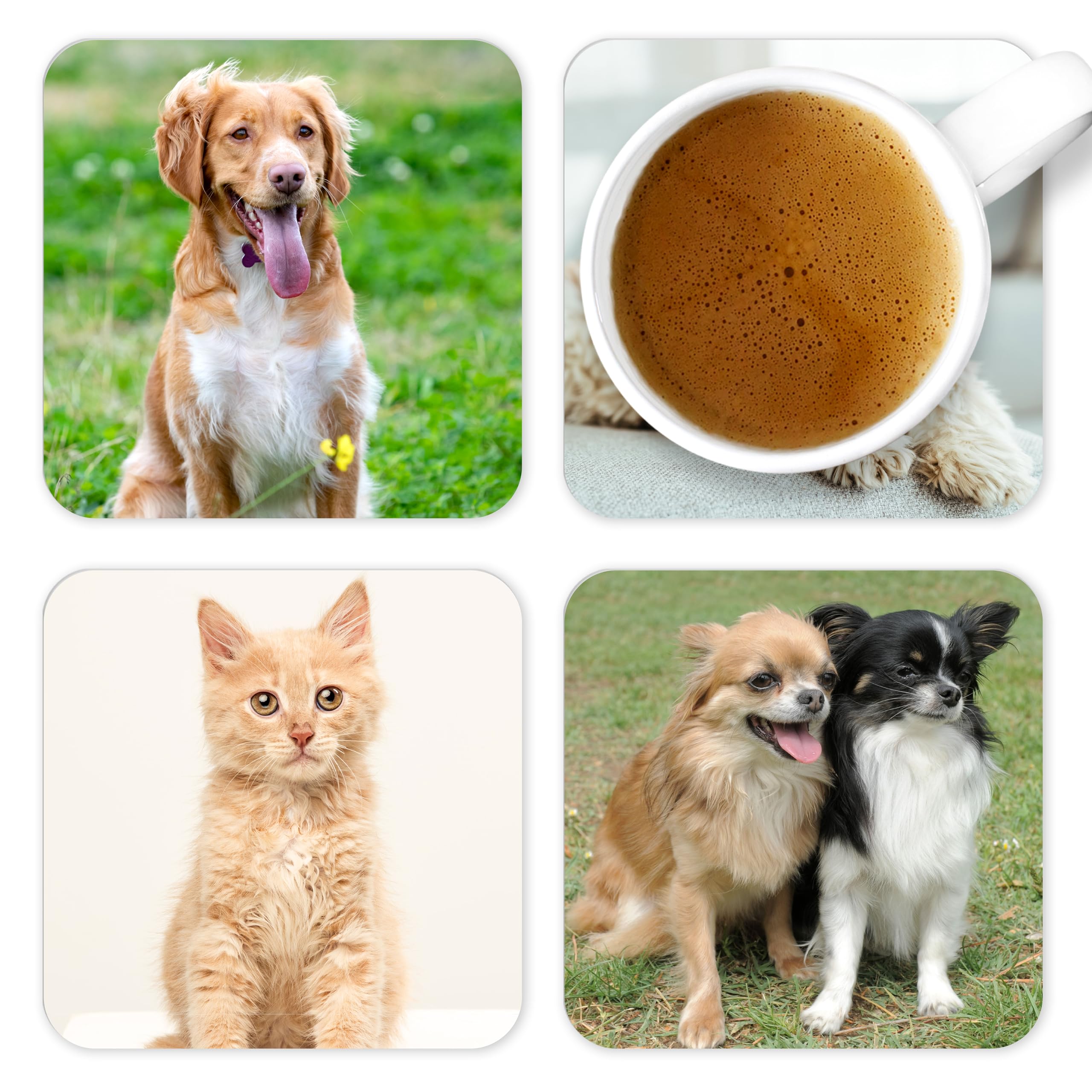 Drifting Ducks White Personalised Photo Wooden Drinks Coaster Mat Set Pets Dog Gift (6)