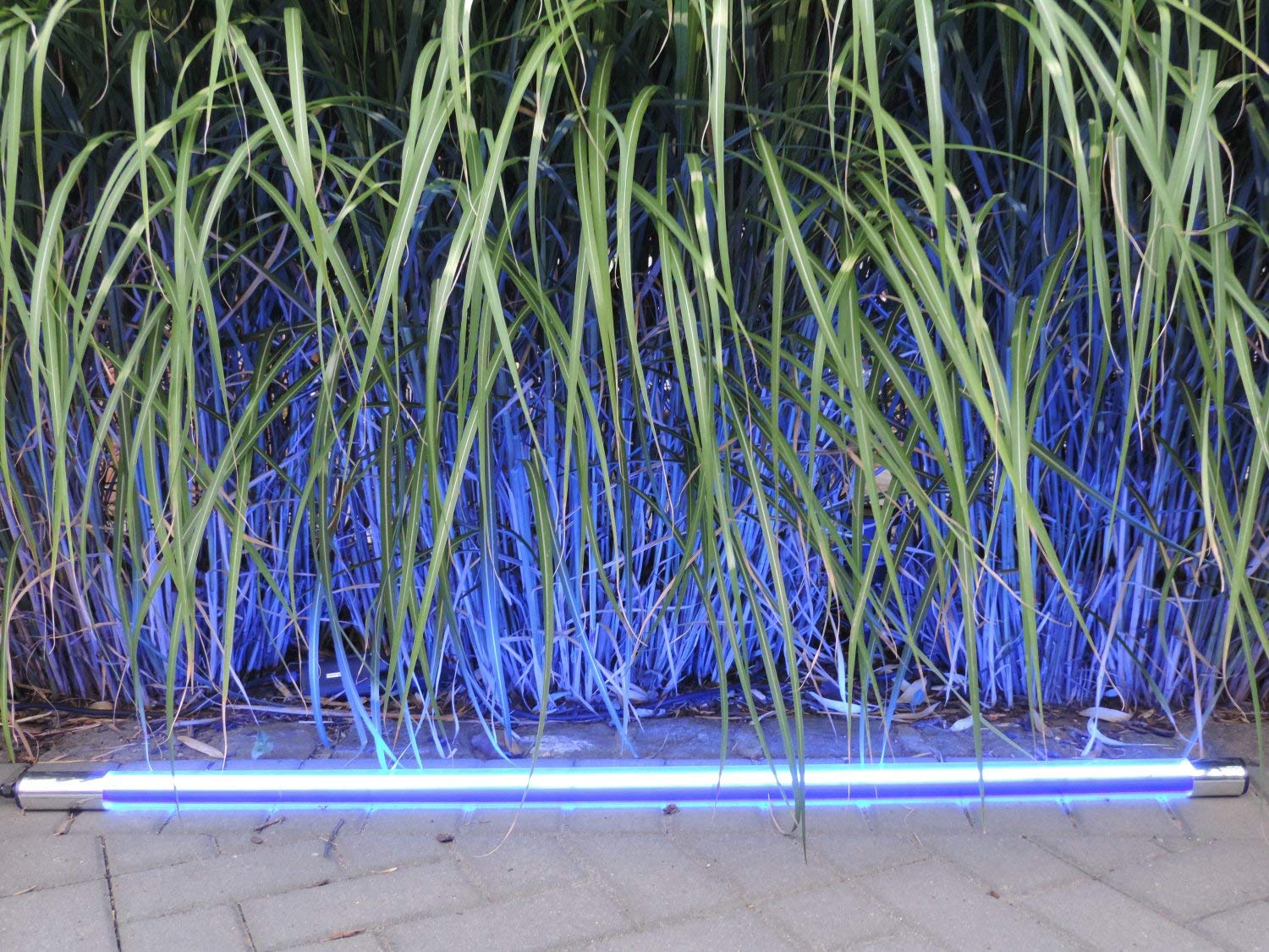 Led Leuchtstab IP44 KS mit Blendschutz 60cm blau für Außen, Gartenbeluchtung mit Led 3m Anschlußkabel 230 Volt