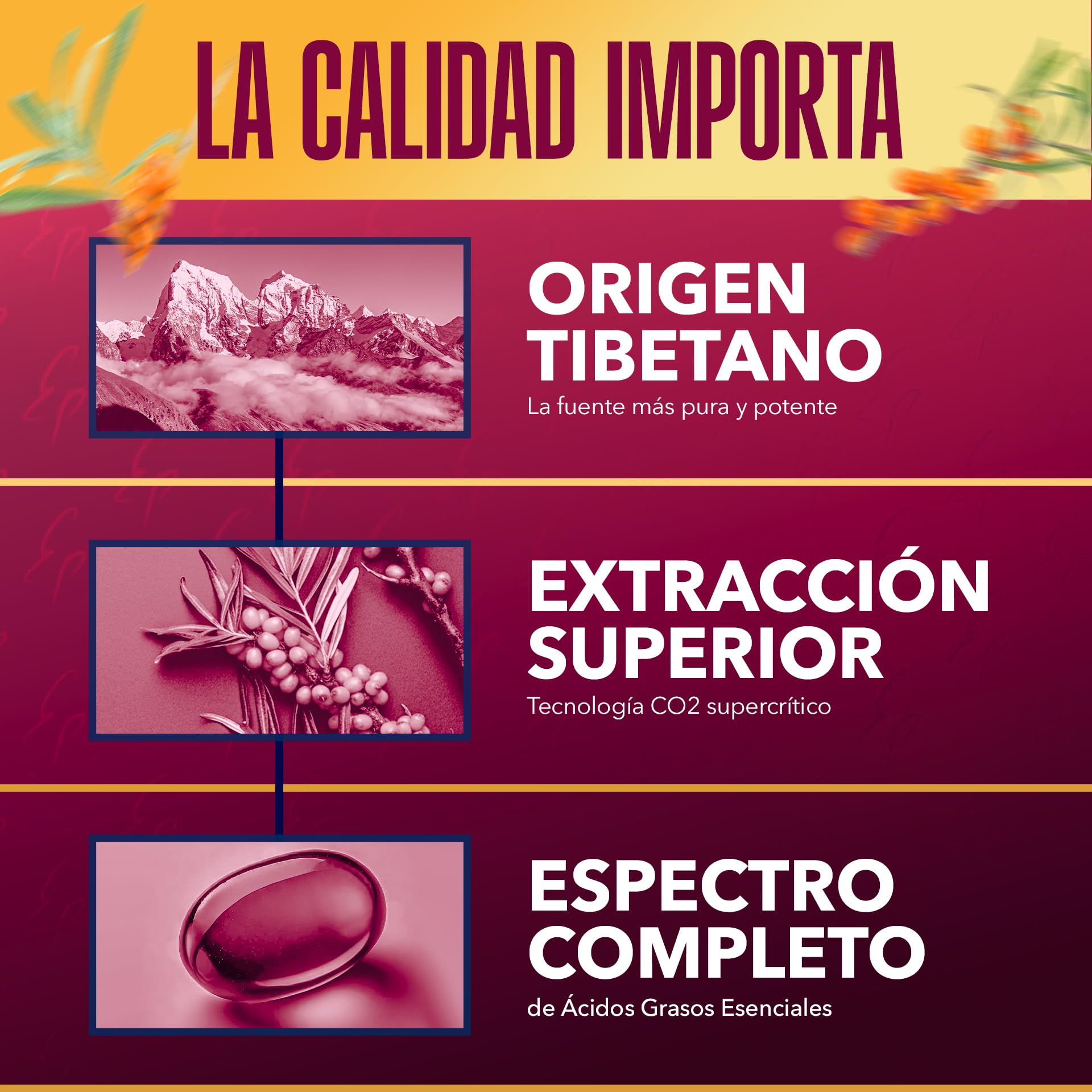 Omega 7 Espino Amarillo | Extracto Patentado Omega 3 6 7 9, Vitamina E, Betacarotenos | Salud de Piel, Mucosas y Sistema Cardiovascular | 30 Cápsulas Veganas | Estado Puro TONGIL