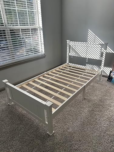 Review Image by Amazon Customer