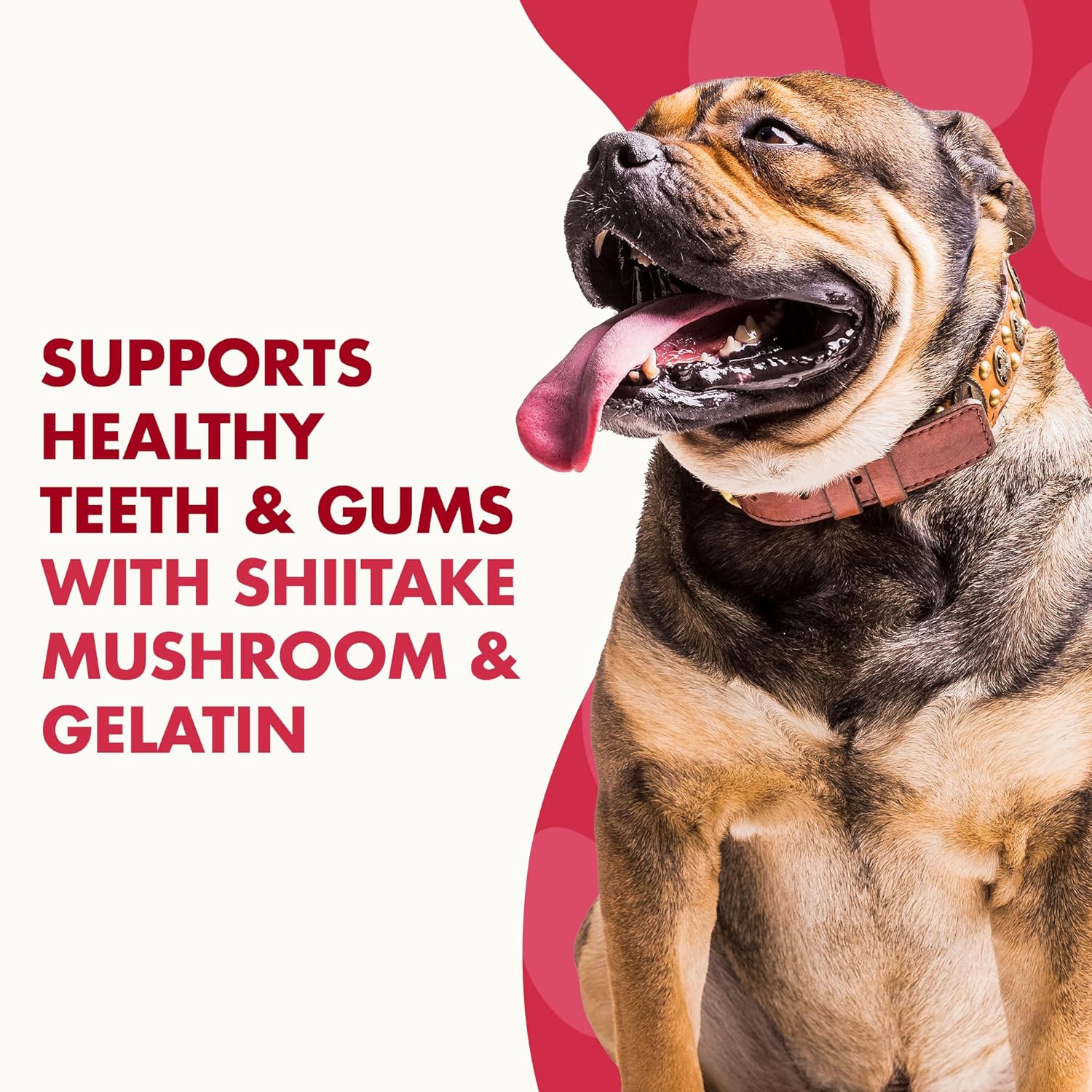 LIQUID-VET Magic-STIX™ Skin, Teeth & Fun – Large Dog – Chicken Flavor – 30 Count – Made in USA