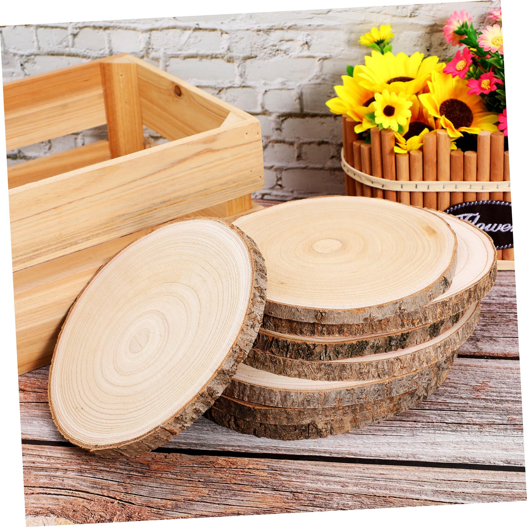 8 Pezzi Fette Legno Naturale con Corteccia Dischi Grezzi in Legno Paulownia Spessore per Decorazioni Matrimoni e Progetti Pittura e Pirografia
