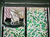 Review Image by Megan S.