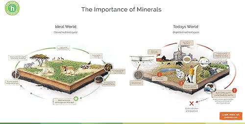 Miniatura 2 de DR DOBIAS GreenMin para Perros - Superalimento natural rico en Minerales y Aminoácidos hasta 5 Meses de Suministro