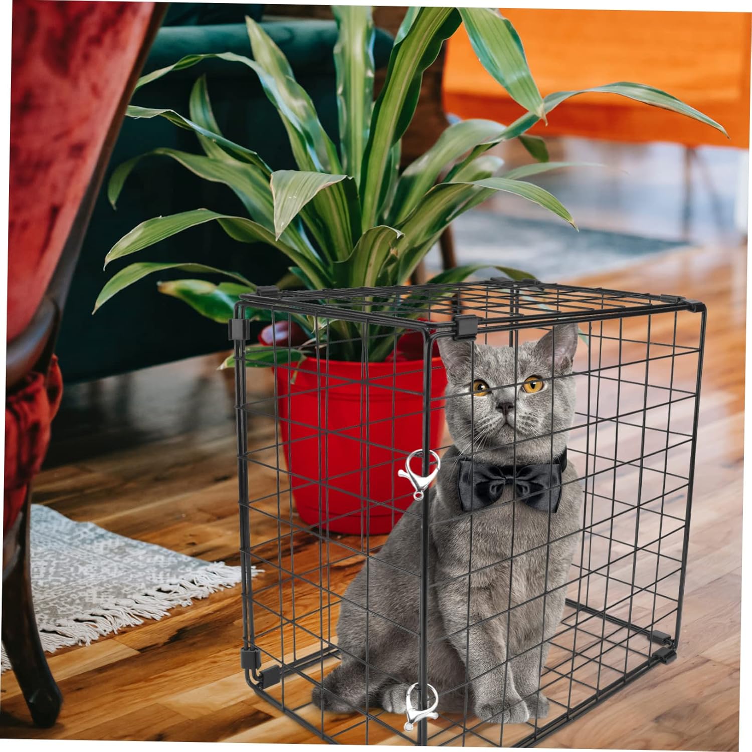 Totority 1pc Folding Cat Cage Practical and Portable Iron Carrier for Cats Under for Bathing and Travel Transparent Design to Monitor Pet Movement