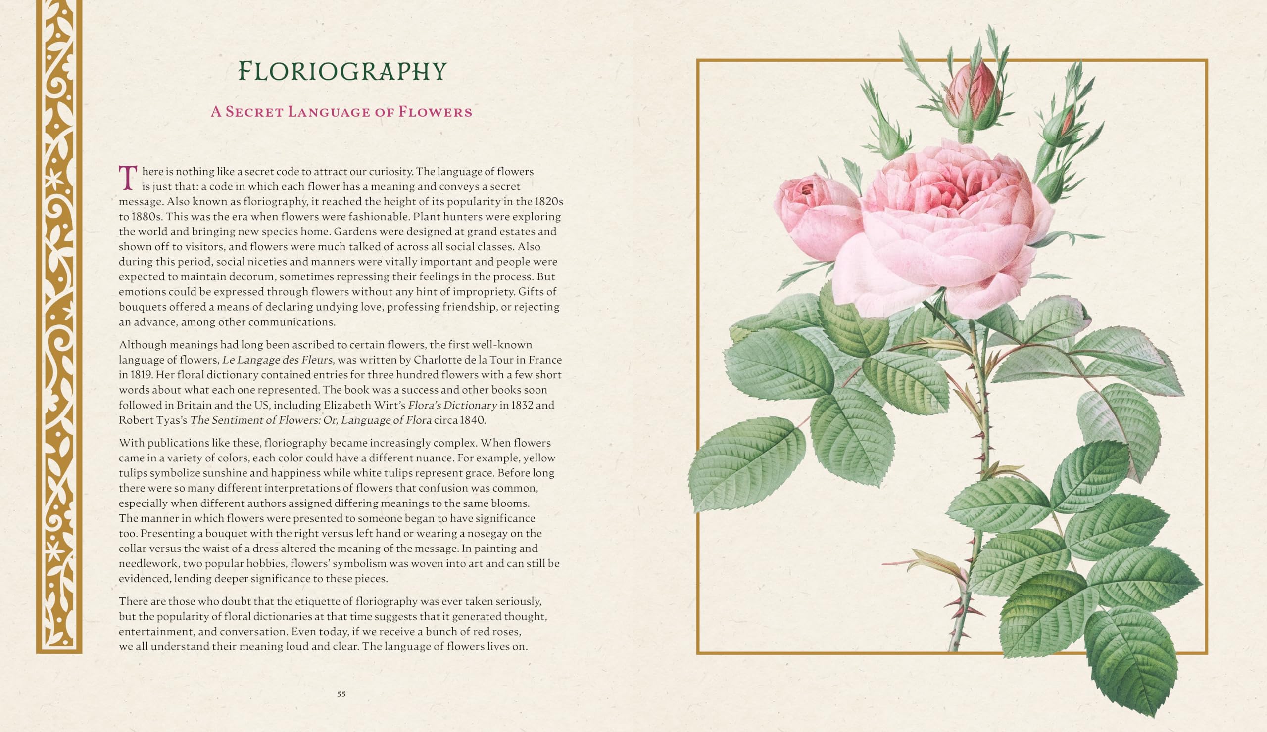 The Folklore of Wildflowers: Stories and History in Bloom