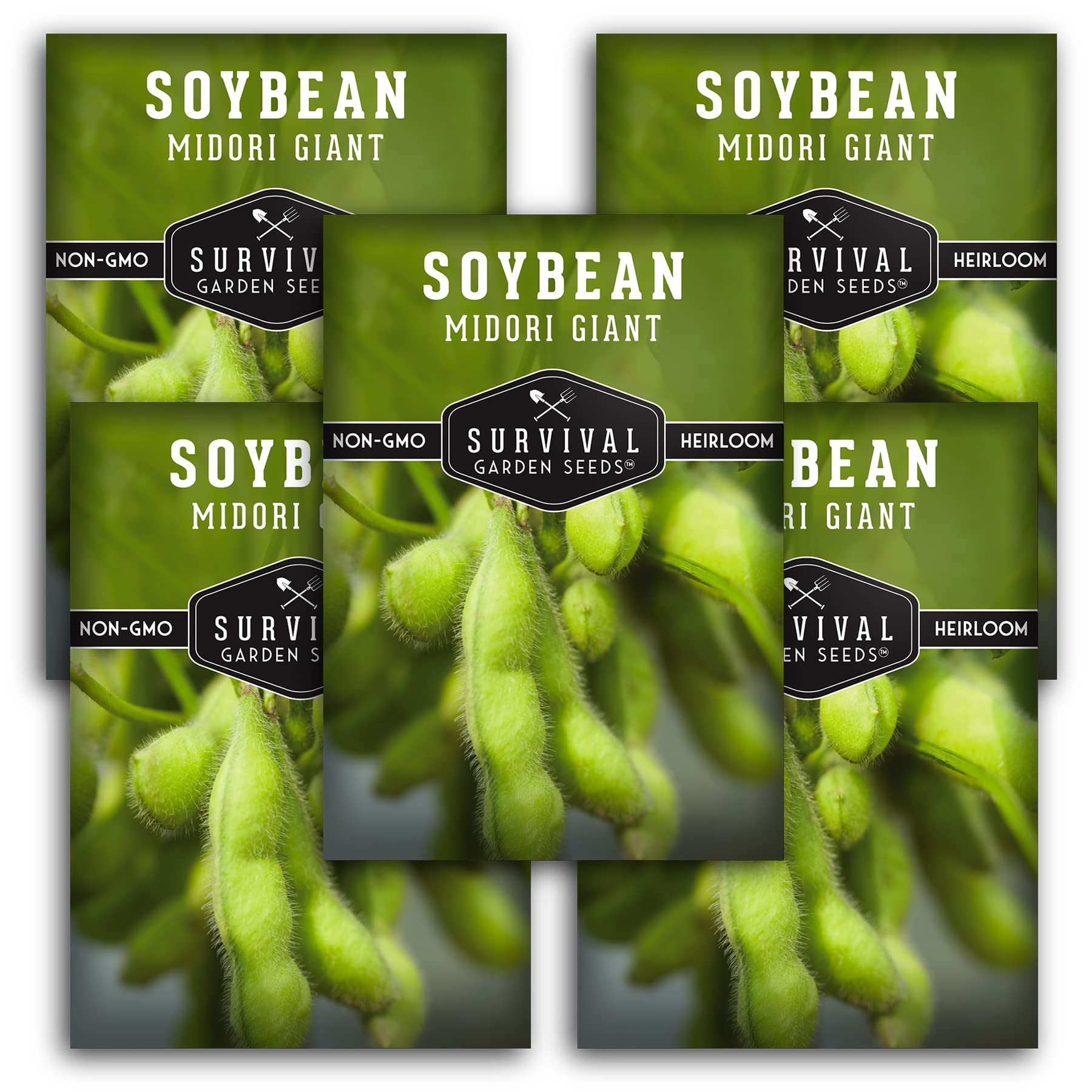 Midori Giant Edamame Seeds for Planting
