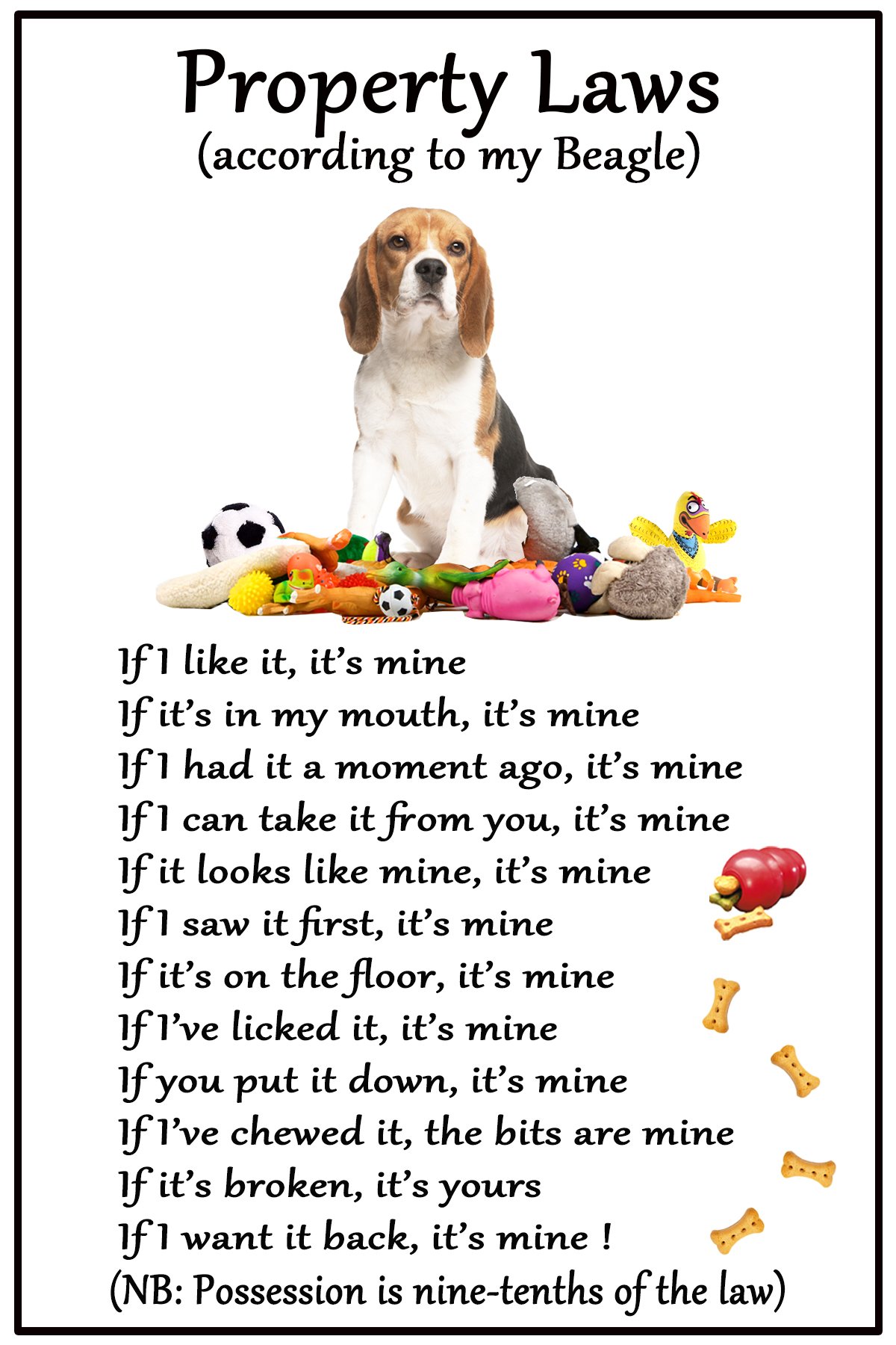 Fridge Magnets Beagle Hound Gift - Property Laws - Large Fun Flexible Size 16 Cms X 10 Cms (Approx. 6 X 4 Inches)