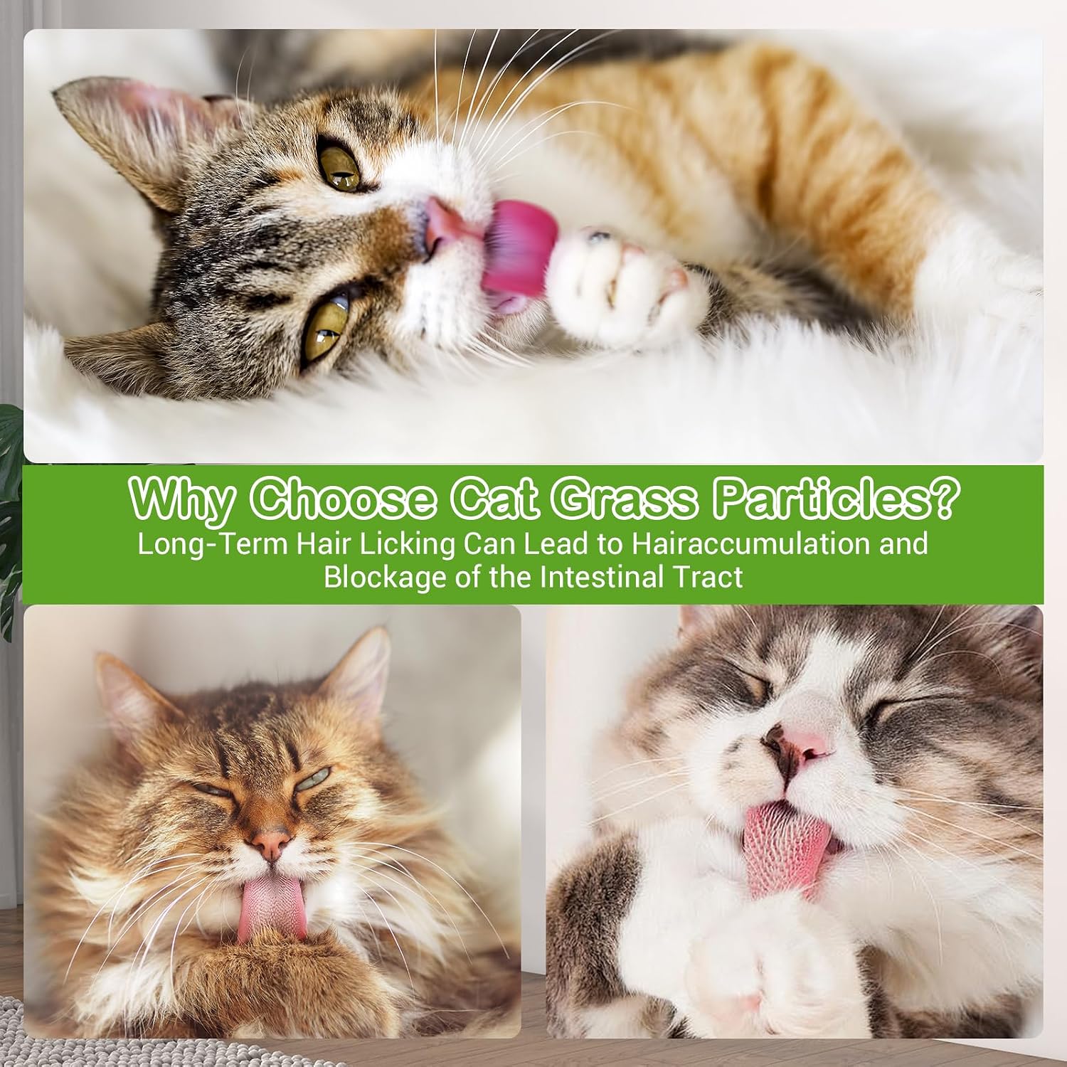 Natural Dried Cat Grass Teething Sticks - Cat Chew Snacks for Teeth Cleaning & Hairball Removal