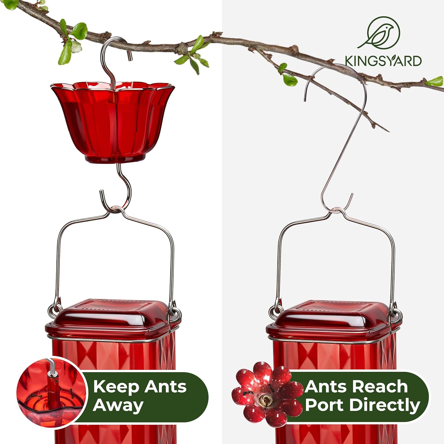 Kingsyard Glass Hummingbird Feeder for Outdoor Hanging, 24 Ounces, 6 Feeding Ports, Bird Nectar Feeder for Garden Décor, Ant Moat Included, Red - Image 4