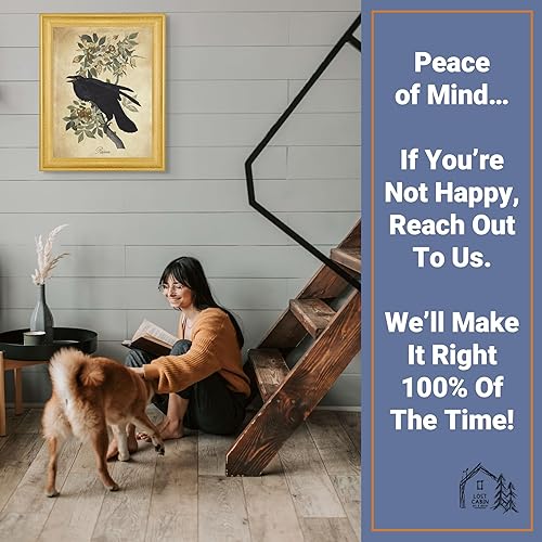 Vista 278 de Towee Bunting by James Audubon - Marco biselado negro de 12 x 16 pulgadas, decoración artística enmarcada para pared, reproducción de pinturas