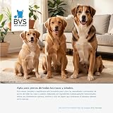 Ver la foto 2