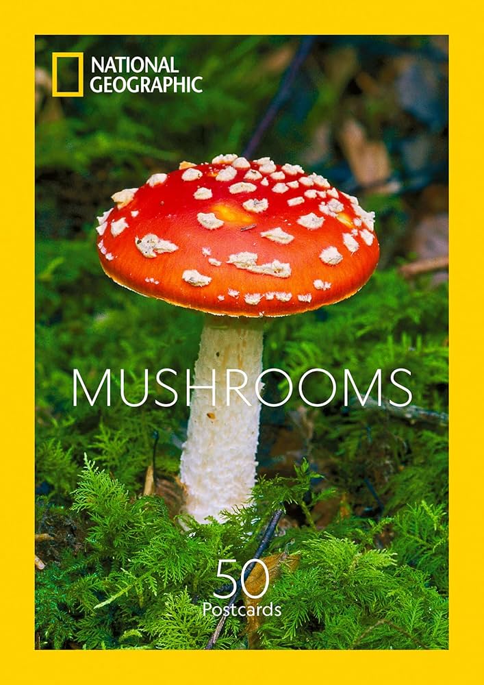mushroom　0324 Shroomyz - 5 Pack – Creekside Nursery, Inc