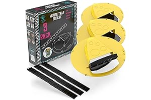 Flip and Slide Mouse Trap Made in USA