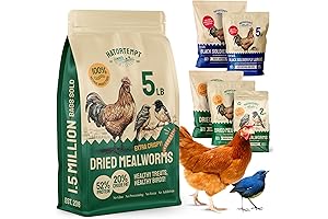 Premium Dried Mealworms for Bluebirds: Nourishing Bluebird Delicacy