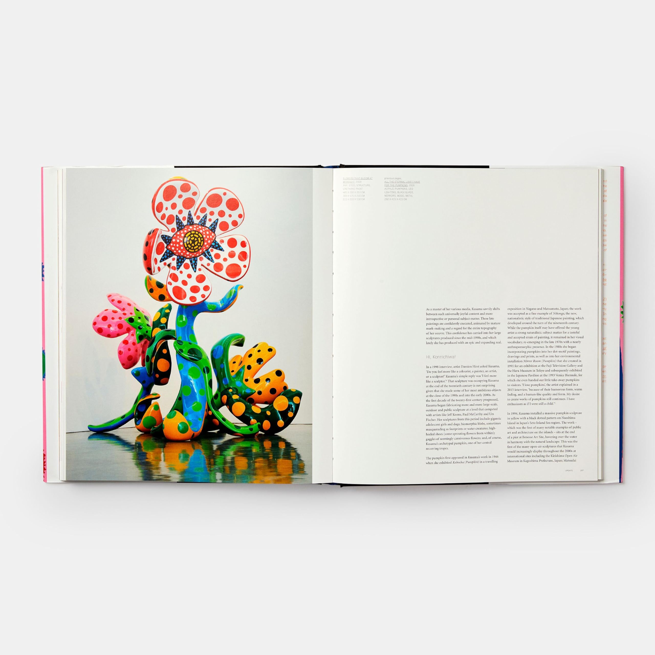 Yayoi Kusama. Revised And Expanded Edition (ART)