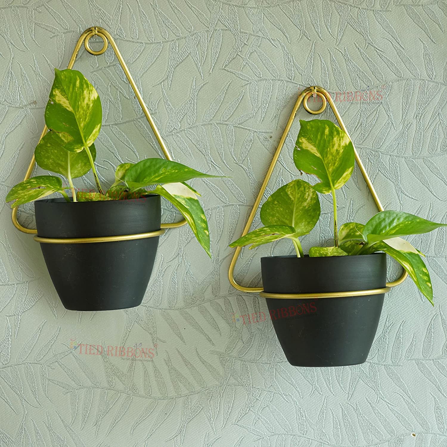 TIED RIBBONS Set of 2 Diamond Shape Ceiling Wall Hanging Metal Planter with Pot for Plants Indoor Living Room Balcony Patio Garden Home Decoration (Multi, 26 cm) (B09SG8YLLQ) Amazon Price History, Amazon Price Tracker