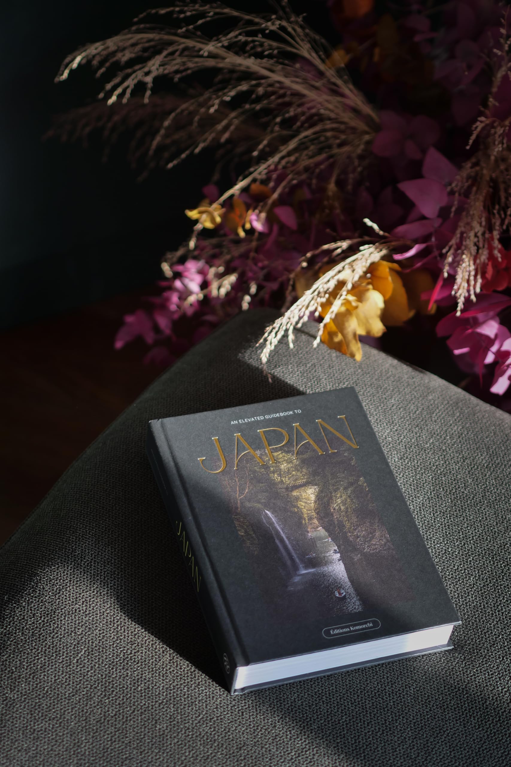 An Elevated Guidebook to Japan