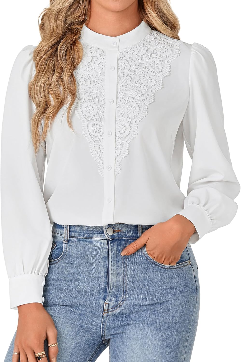 Rooscier Women's Lace Mock Long Sleeve Button Down Elegant Blouse Shirt Top Fall Clothes