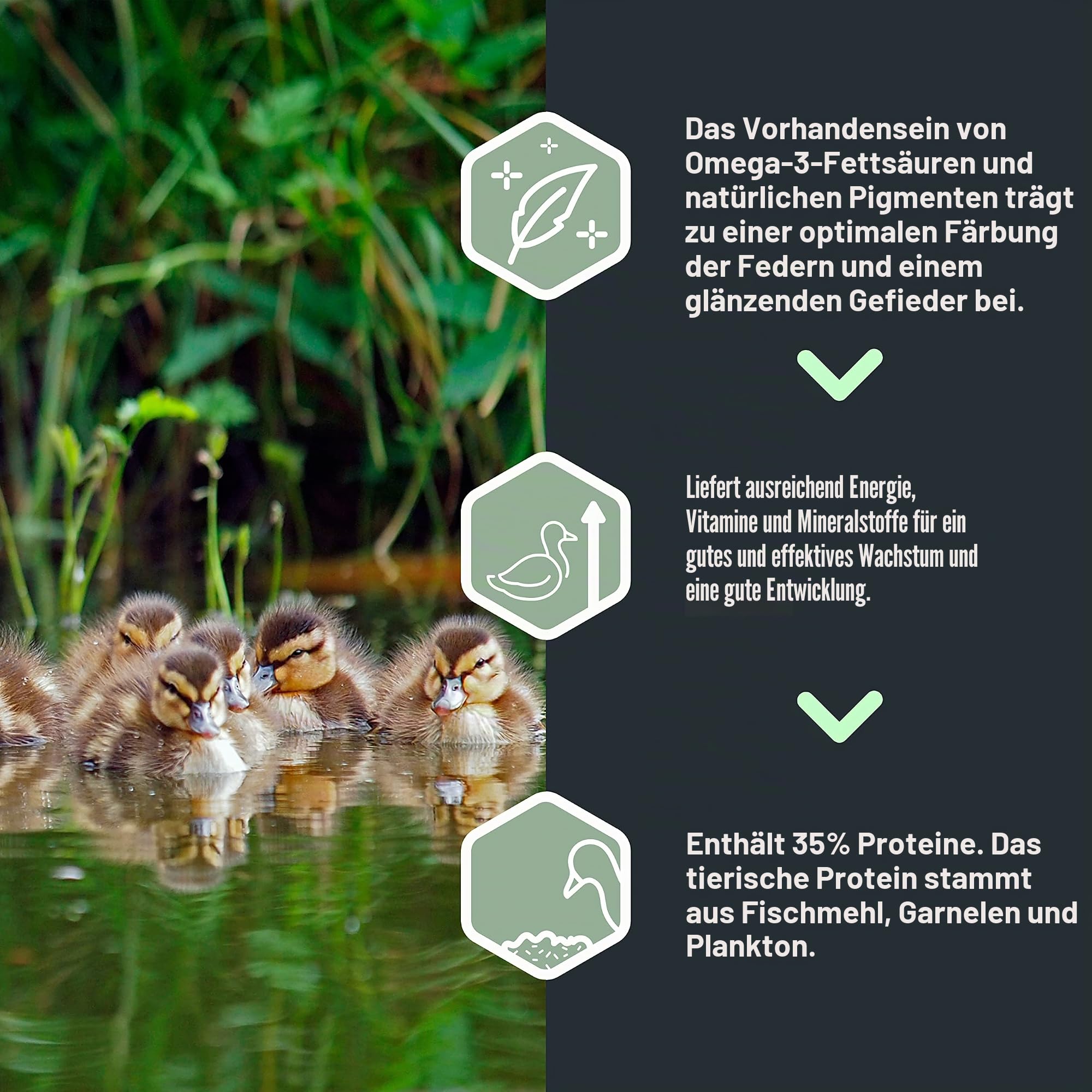 Floating Schwimmende Micro – Kroketten für Enten, Gänse und Vögel zancudas