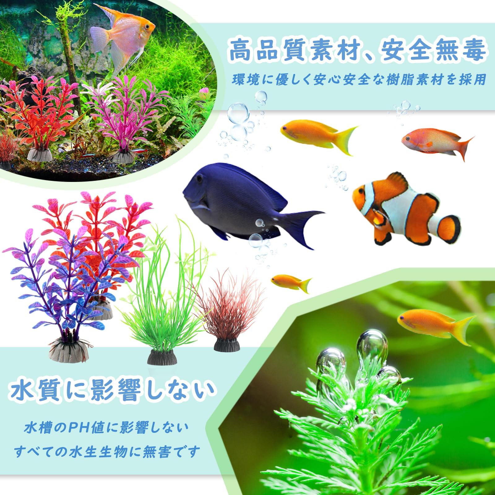 【確認用】水草お届けスケジュールの目安 確認用】水草お届けスケジュールの目安