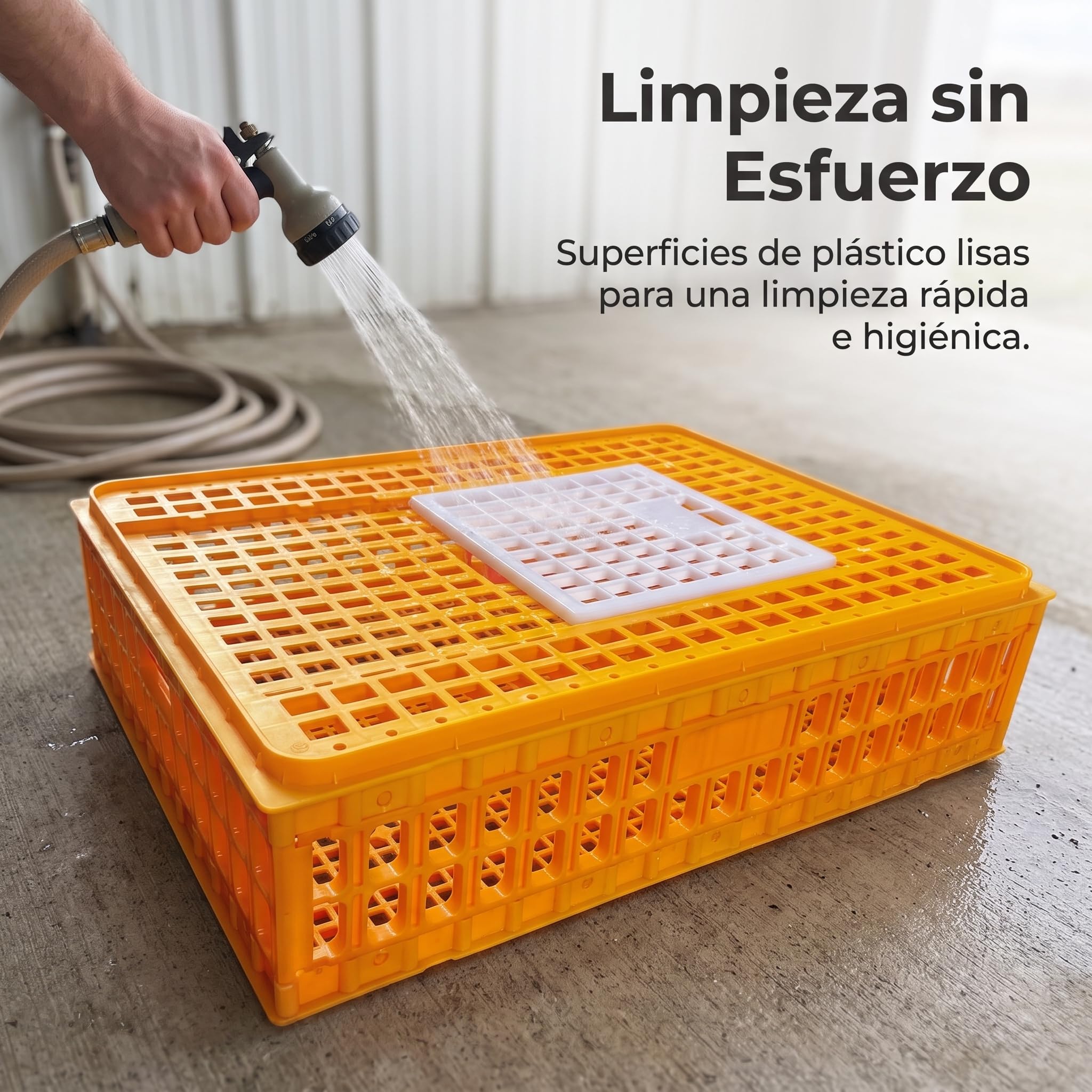 Jaula Transporte Aves Conejo, Caja plástico para Pollos, s y s, Amarillo