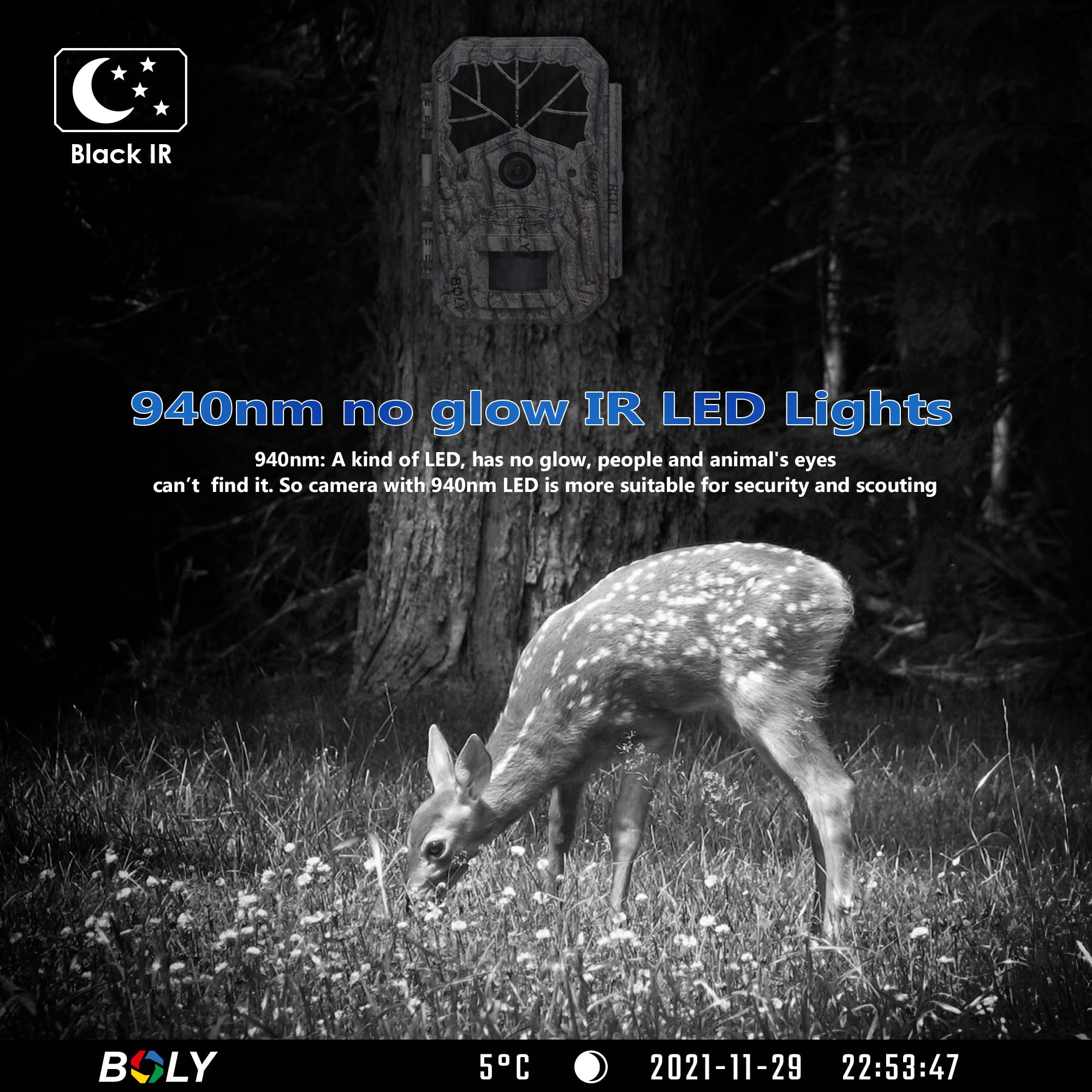 BolyGuard Wildlife - Cámara de caza (64 MP, 1080P, HD, alcance de detección, 40 ledes, 940 nm, con versión nocturna para vigilancia de vida silvestre y seguridad doméstica (BG636-K)