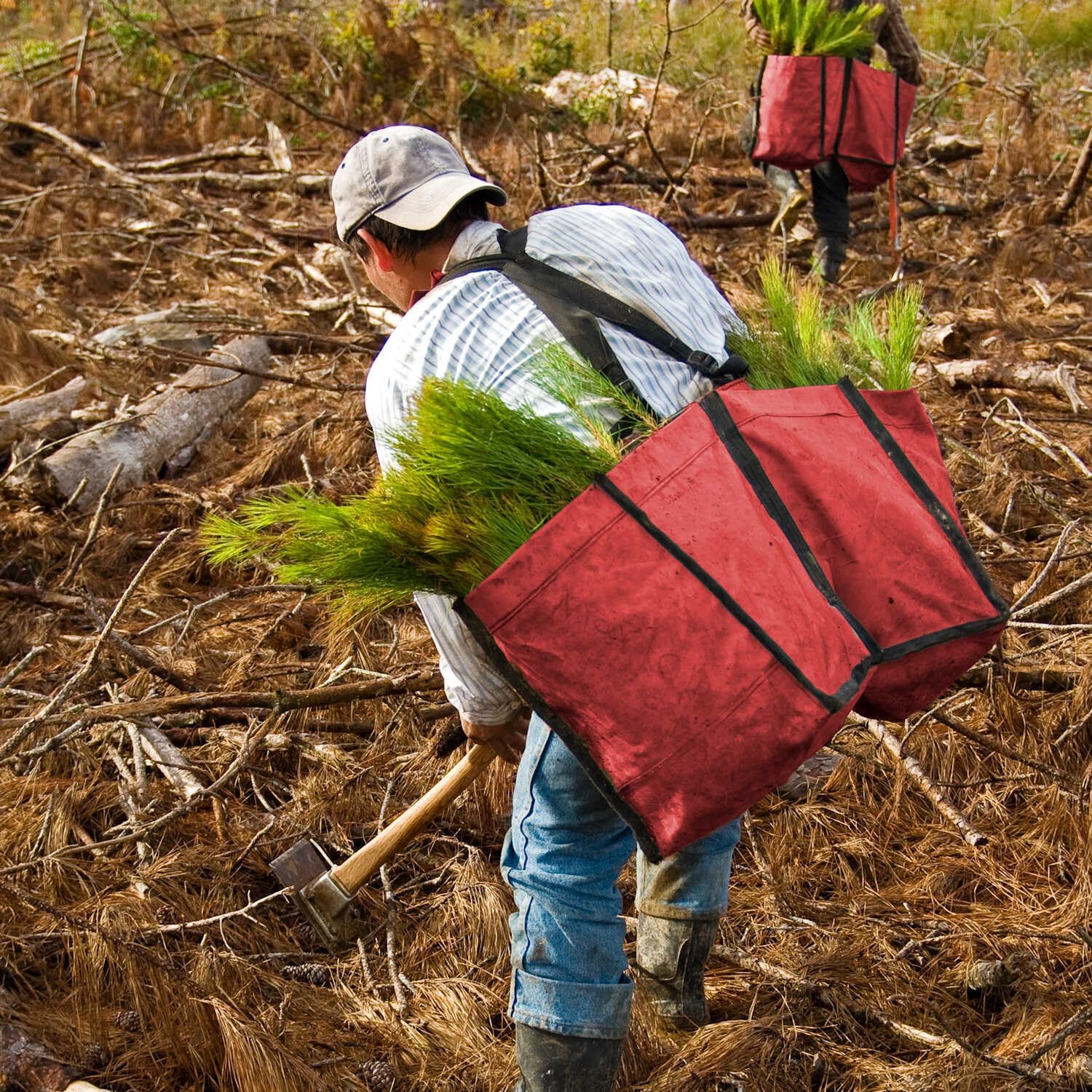 Jim Gem Professional Model Tree Planting Bag with Split Bag | Fully Adjustable & Padded Shoulder Harness | 44” Waist Belt | Two Compartments, 9” x 9-1/2” x 15” Deep.