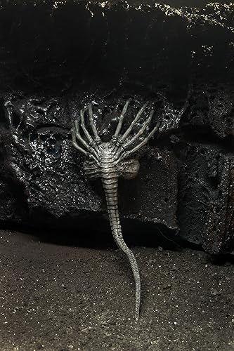 Miniatura 5 de NECA Alien 40th Anniversary 7" Scale Giger Figura de acción