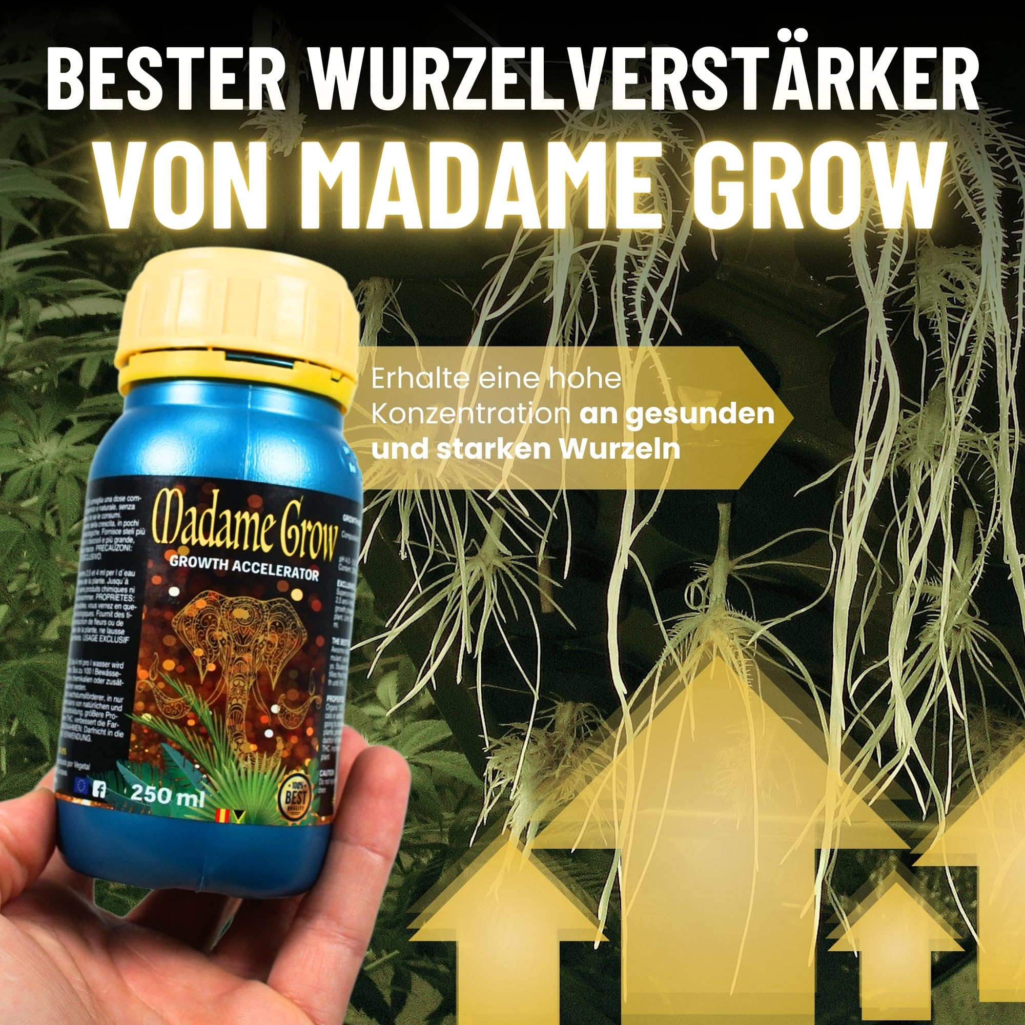 düngen autoflower 420Flow All-in-One Dünger: Perfekt für jede Cannabis-Wachstumsphase main image 1