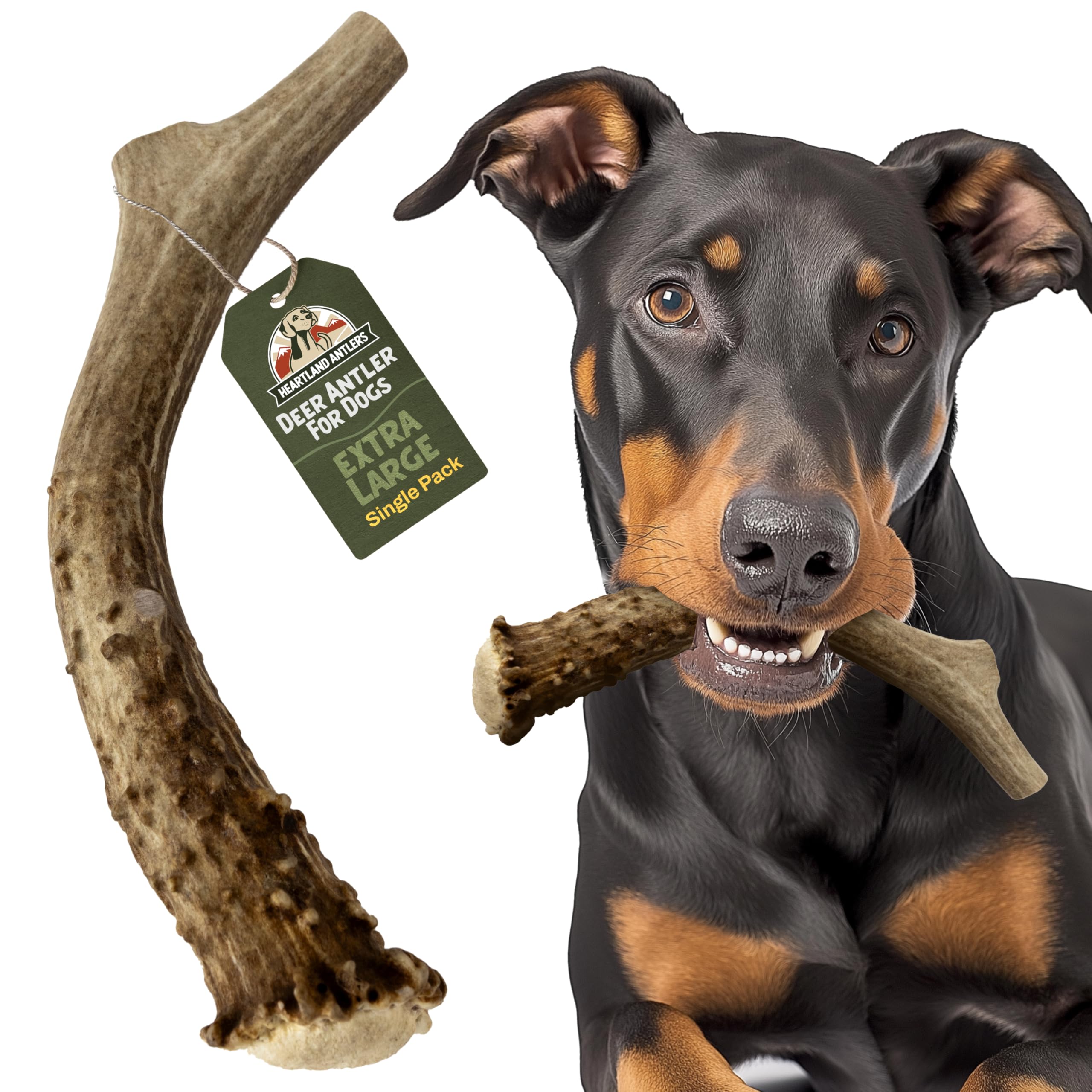 Heartland Deer Antlers for Dogs - Daily Dental Care Chews for Aggressive Chewers to Reduce Plaque & Prevent Destructive Behavior (X-Large, 8-10", 1-Pack, Grade A, USA Made)
