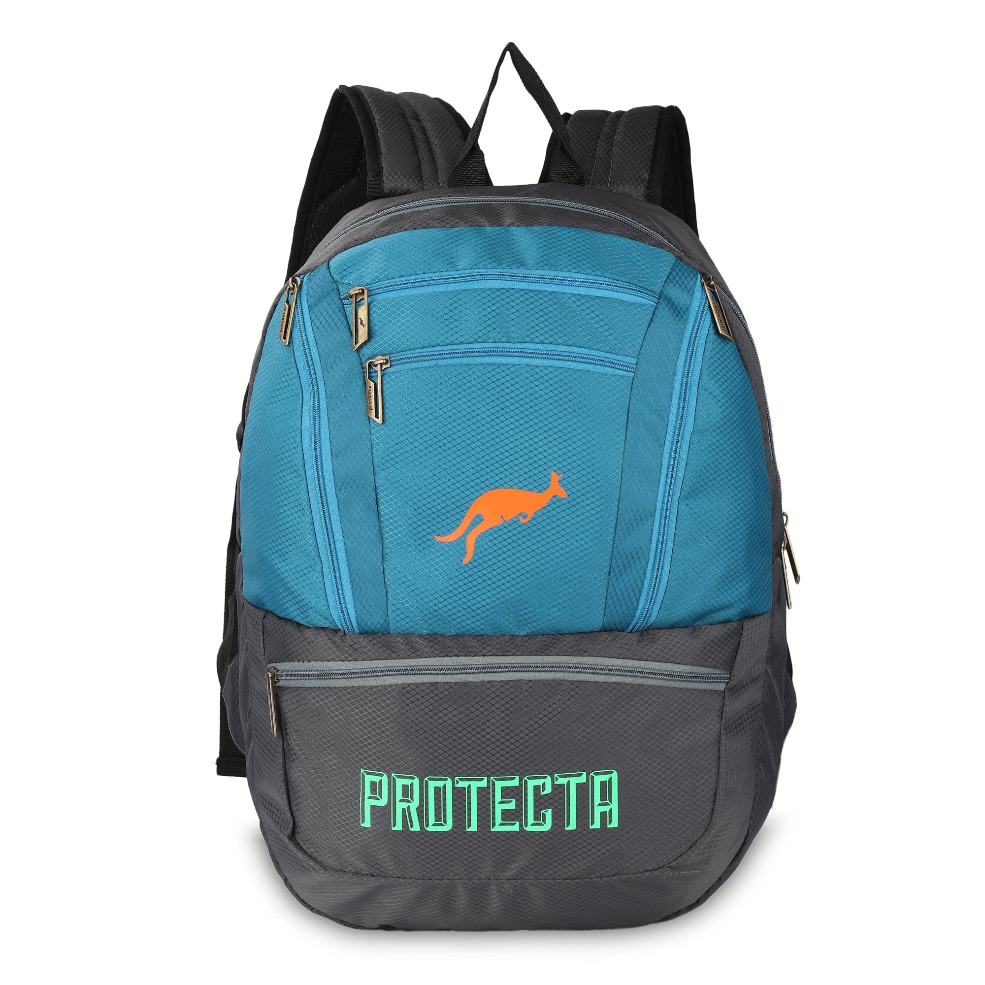 Protecta Paragon 33 L Backpack for Laptops Up to 15.6 Inch - Grey & Green (B096Y337G3) Amazon Price History, Amazon Price Tracker