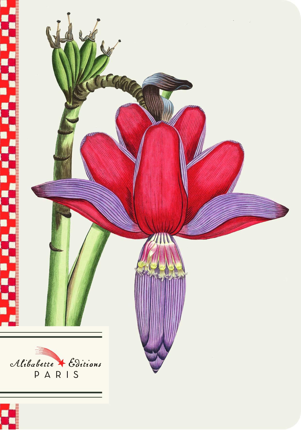 Banana (Petit Perfect-Bound Notebooks - Soft Touch Cover)