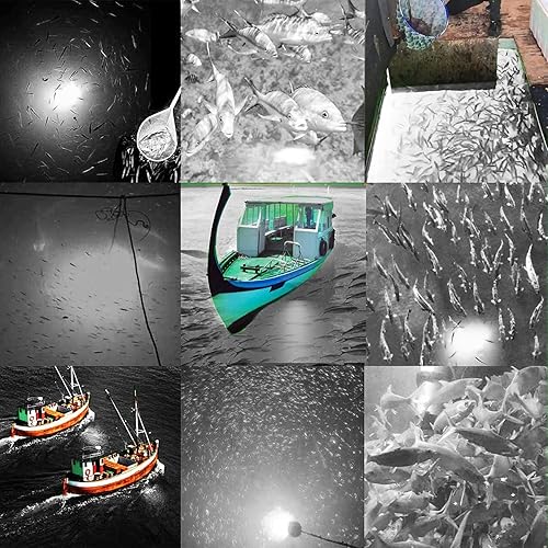 Miniatura 5 de Samdo IP68 Lámpara LED submarina de 12V para pesca, 1080 lúmenes, luz nocturna para barco, pesca de 8W