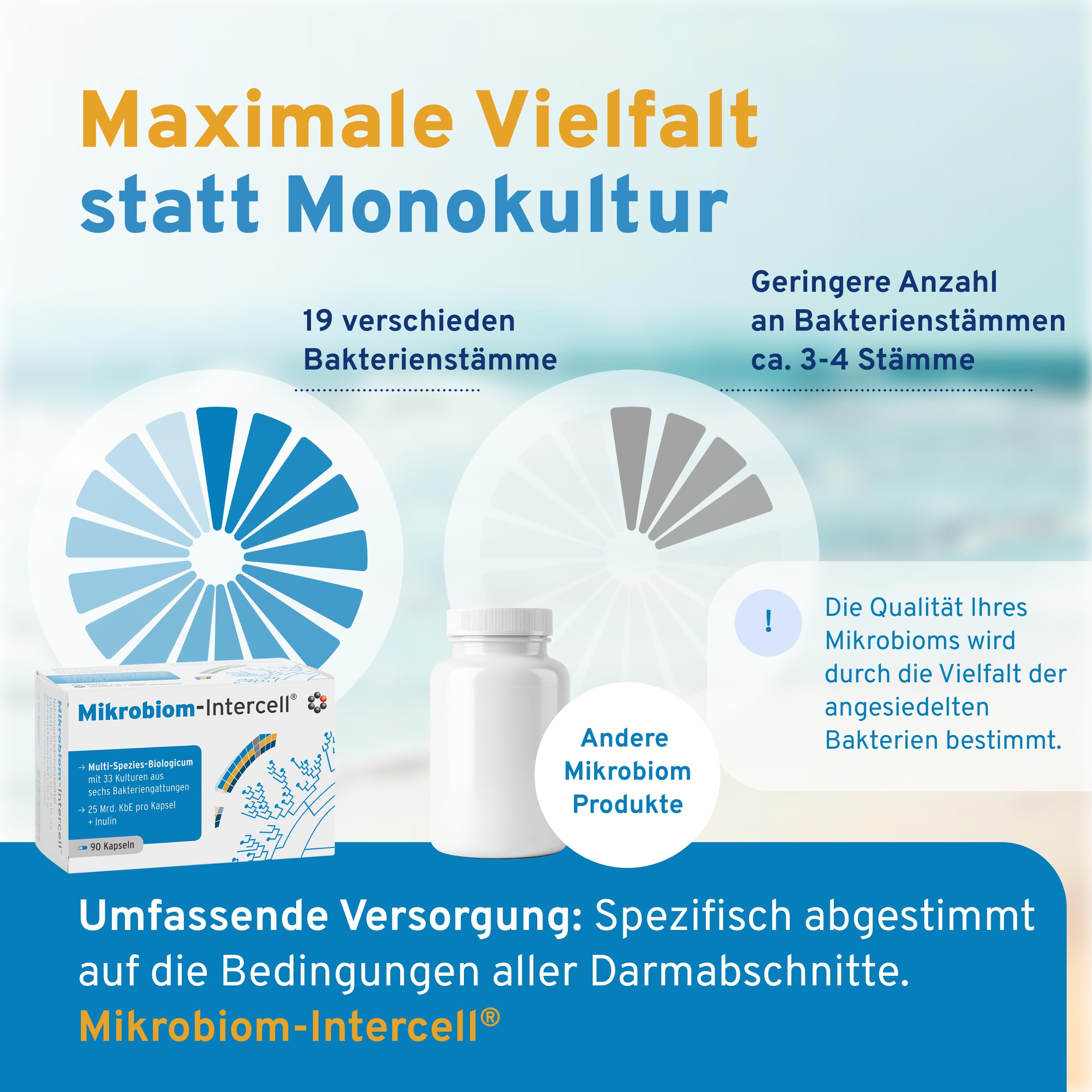 Mikrobiom Intercell (Probiotika) - 33 Bakterienstämmen hochdosiert mit Inulin (90 Kapseln) - Für den Aufbau des Darms mit den wichtigsten Milchsäurebakterien - 25 Mrd. KBE je Kapsel - laktosefrei