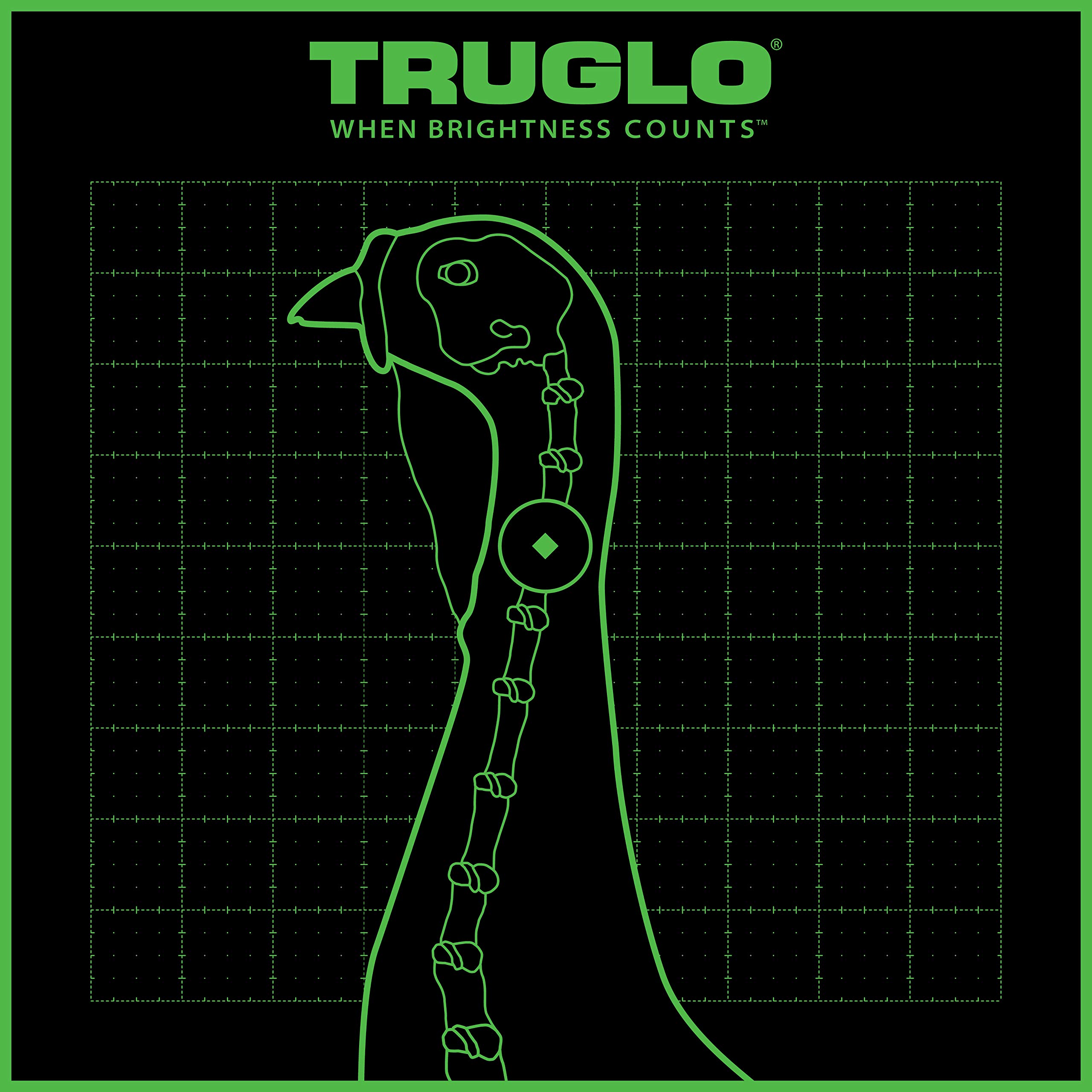 TRUGLO Bright Thru-See Splatter Florescent Self-Adhesive High-Visible Turkey Hunting Targets 12X12 with Increased Target Life, Available in 6-12-Pack Options