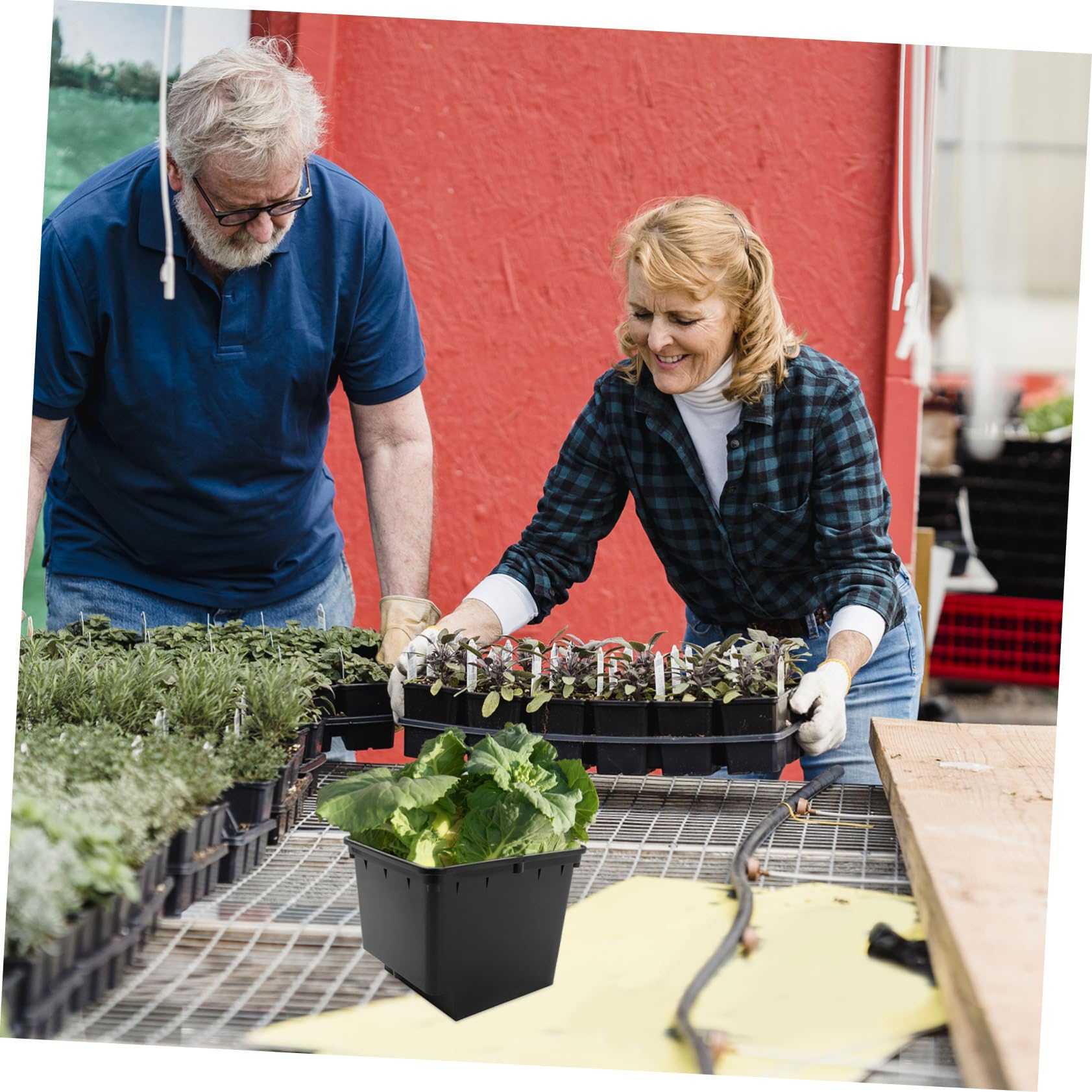 Toyvian 1satz Hydroponisches Anbausystem Für Soilless Culture Für Balkon Und Gewächshaus Praktische Und Pflanzgefäße Für Gesunde Pflanzenpflege