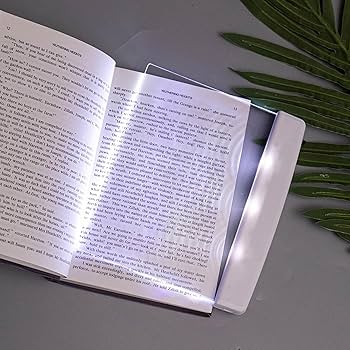 洋書 Instant light 71-961gUeYL._UF350,350_QL80_.jpg