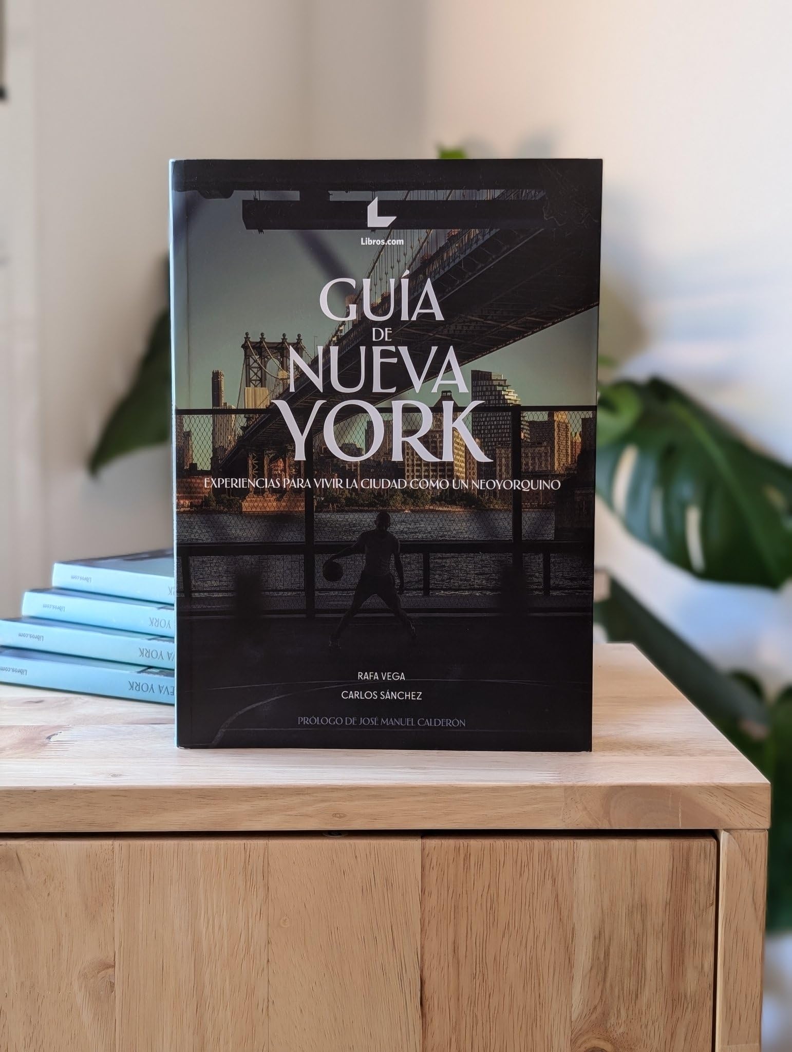 GUÍA DE NUEVA YORK