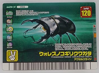 PSA10　ギラファノコギリクワガタ　フォレストグリーン PSA10 ギラファノコギリクワガタ フォレストグリーン PSA10